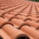 Slate and Tile Roof Maintenance