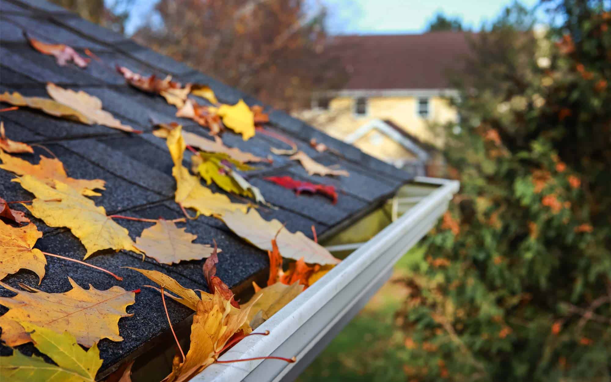 Fall Roof Projects You Can Do Right Now Kirberg Roofing
